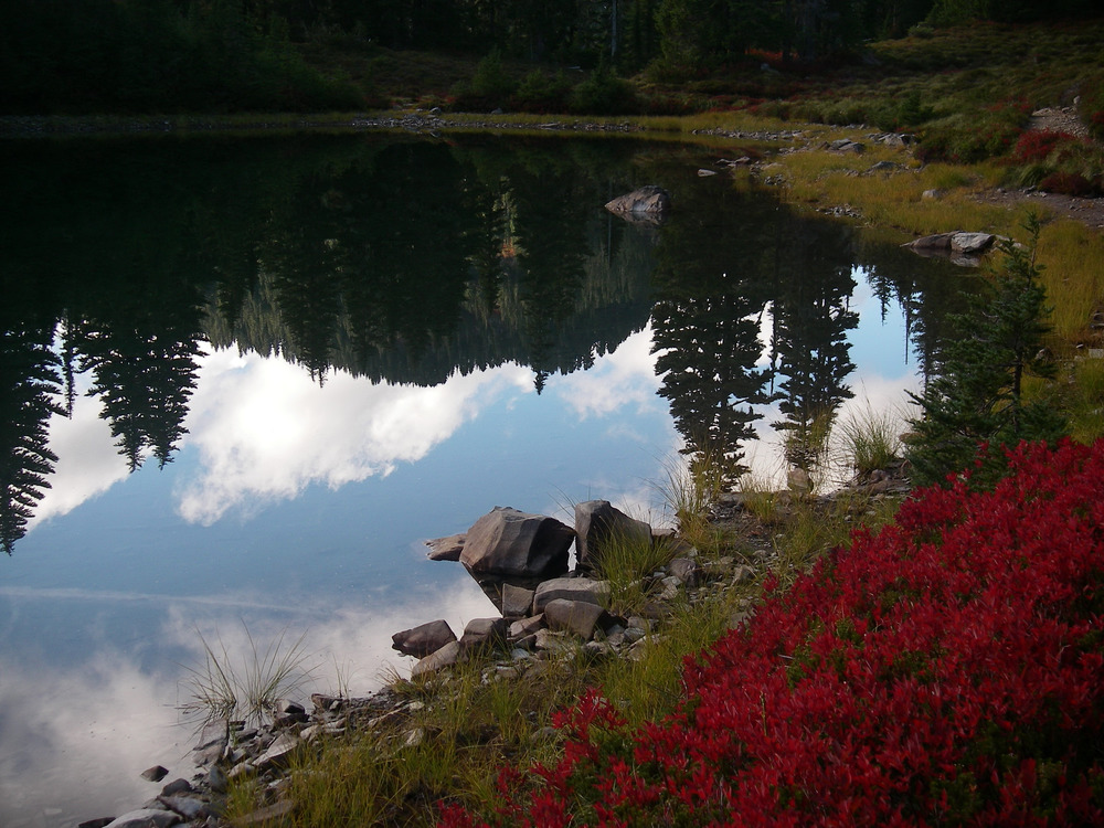 Alpine lake in Olympic National Park